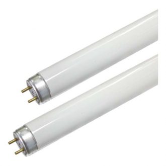 Lâmpada Fluorescente Lineal Luz Fria T8 230V / 15W